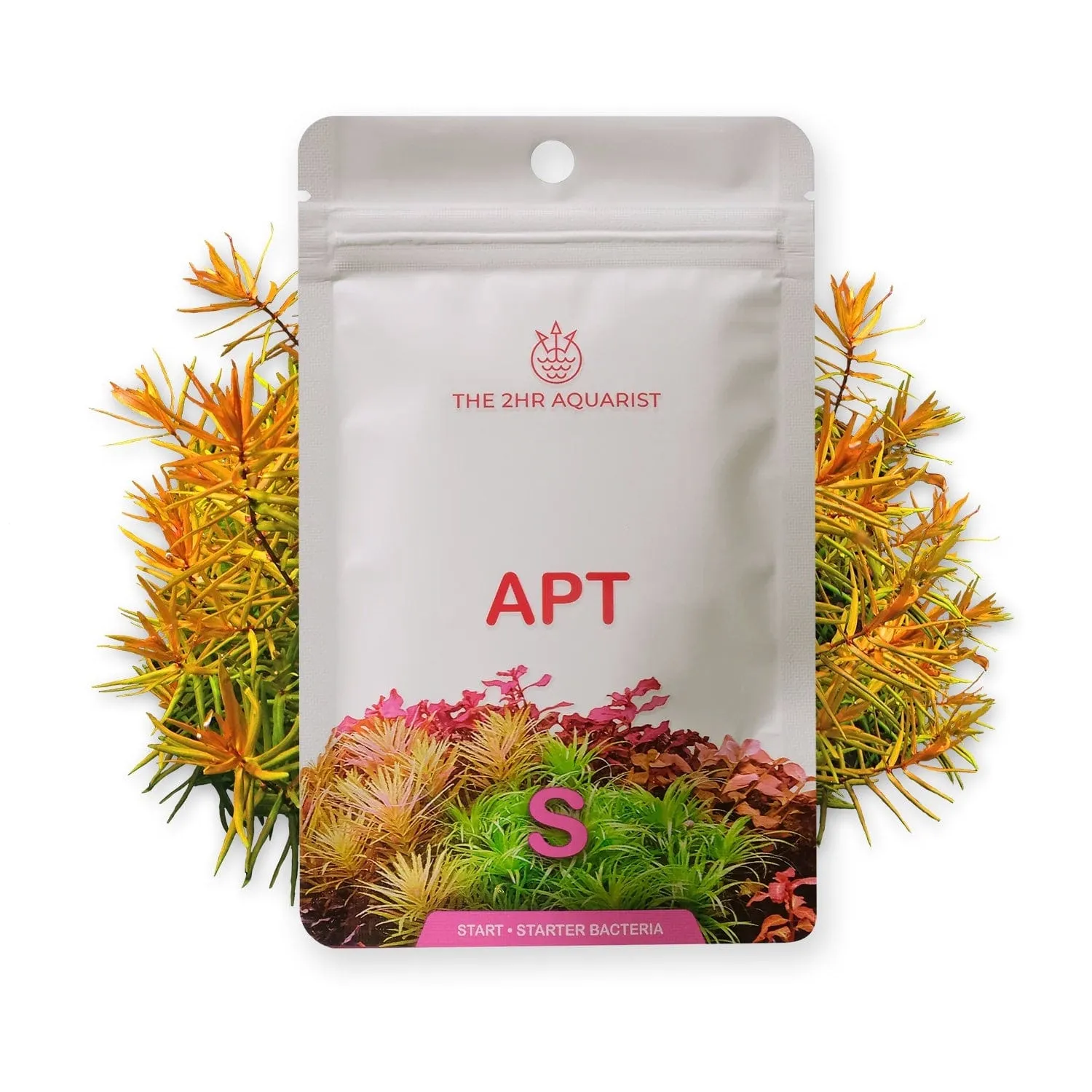 2HR Aquarist APT S Starter Bacteria 45g