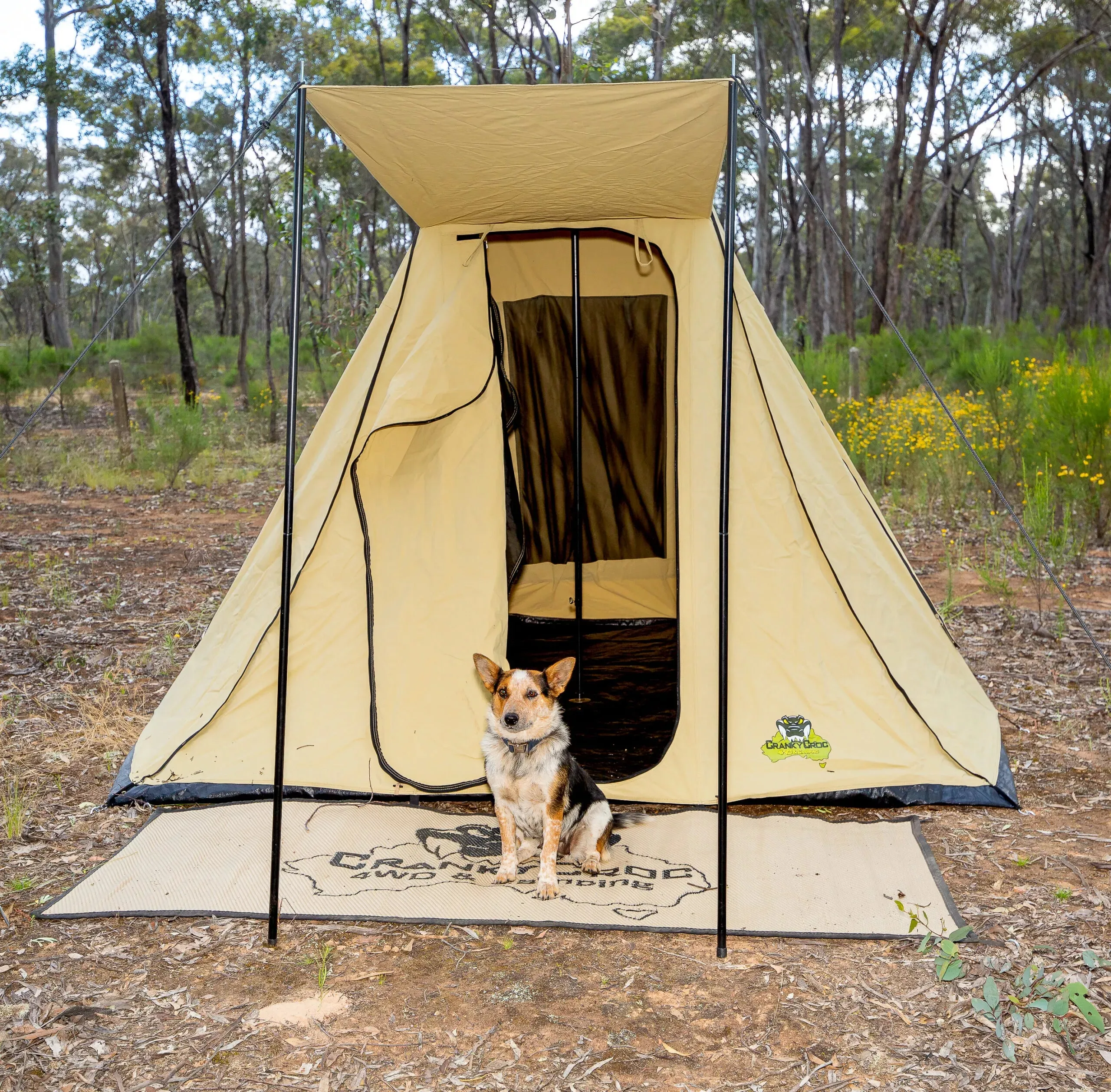 Instant Safari Tent