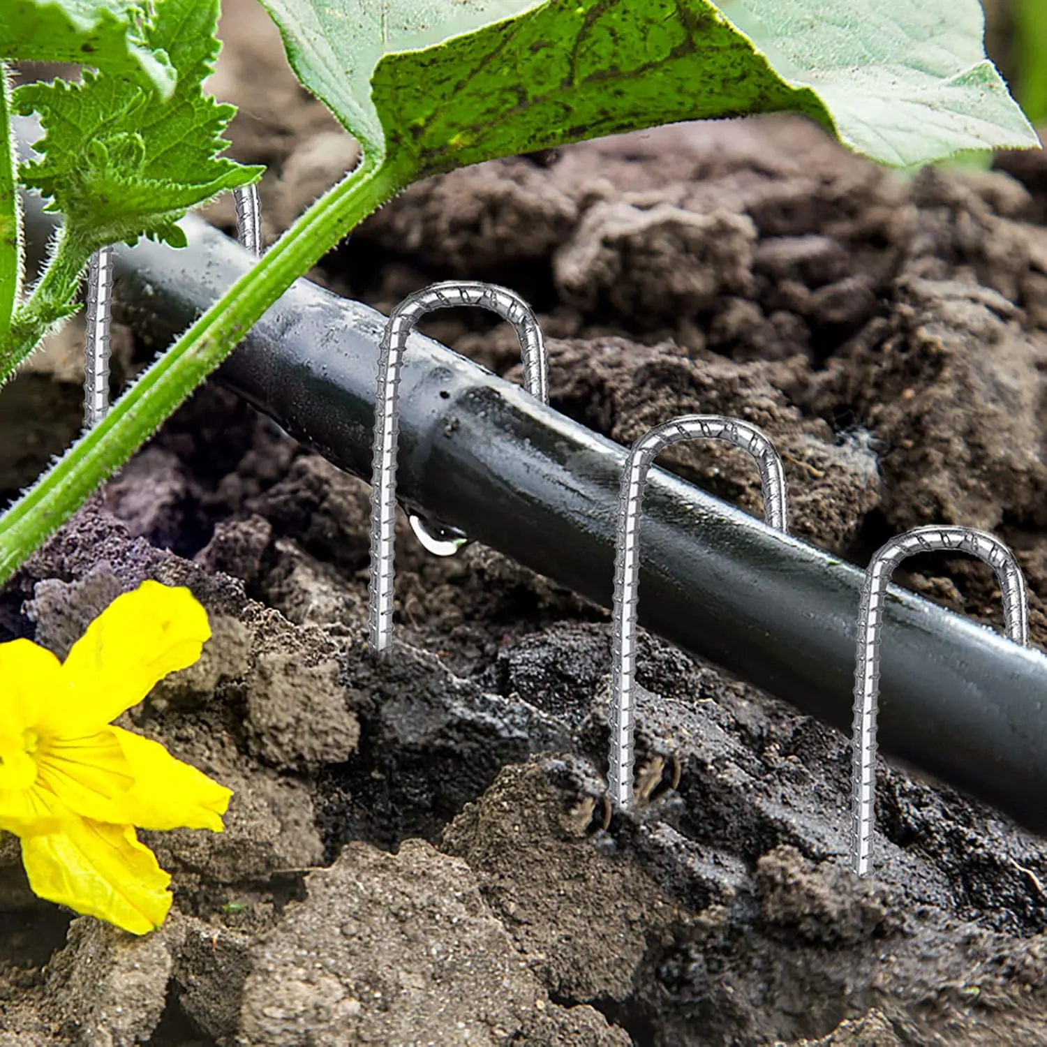 J Hook Rebar Stakes 12 Inch, Ground Stakes for Camping Tent Heavy Duty 10 Pack Rust Proof Coated Metal for Flower Gardens Landscape Fabric Pins Dog Fence