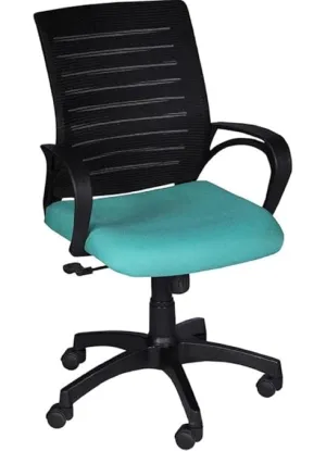 Low Back Executive Chair with Nylon Base