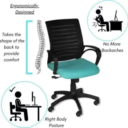 Low Back Executive Chair with Nylon Base