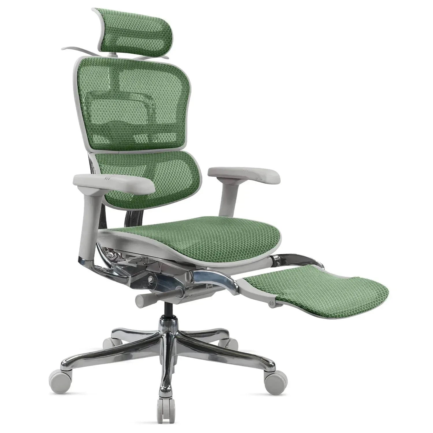 Modern Mesh  Ergonomic Office Chair Grey Frame With Legrest ERGOHUMAN E2