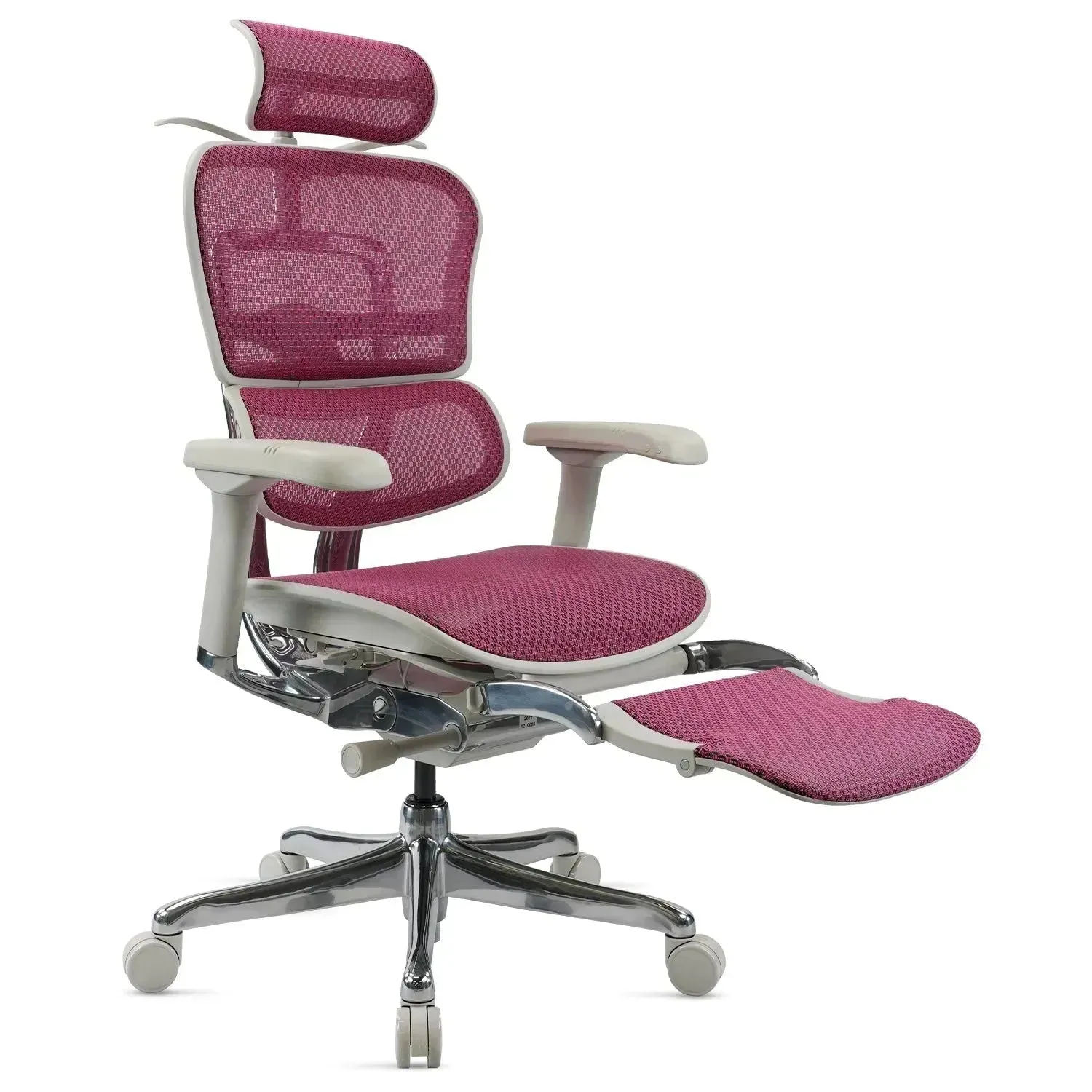 Modern Mesh  Ergonomic Office Chair Grey Frame With Legrest ERGOHUMAN E2