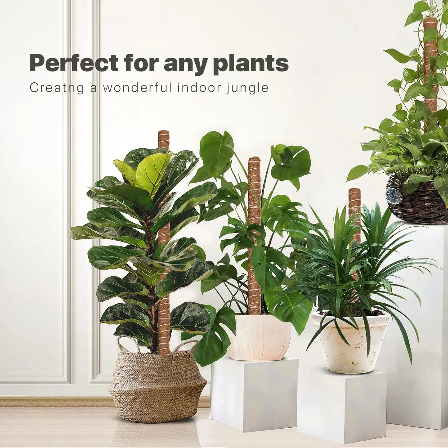 Moss Pole for Plants Monstera 164 Inch, 8 Pcs 20.5 Inch Moss Poles for Climbing Plants, Coco Coir Pole Plant Support Stakes for Indoor Climbing Plants Grow Upwards, with Garden Ties Kit