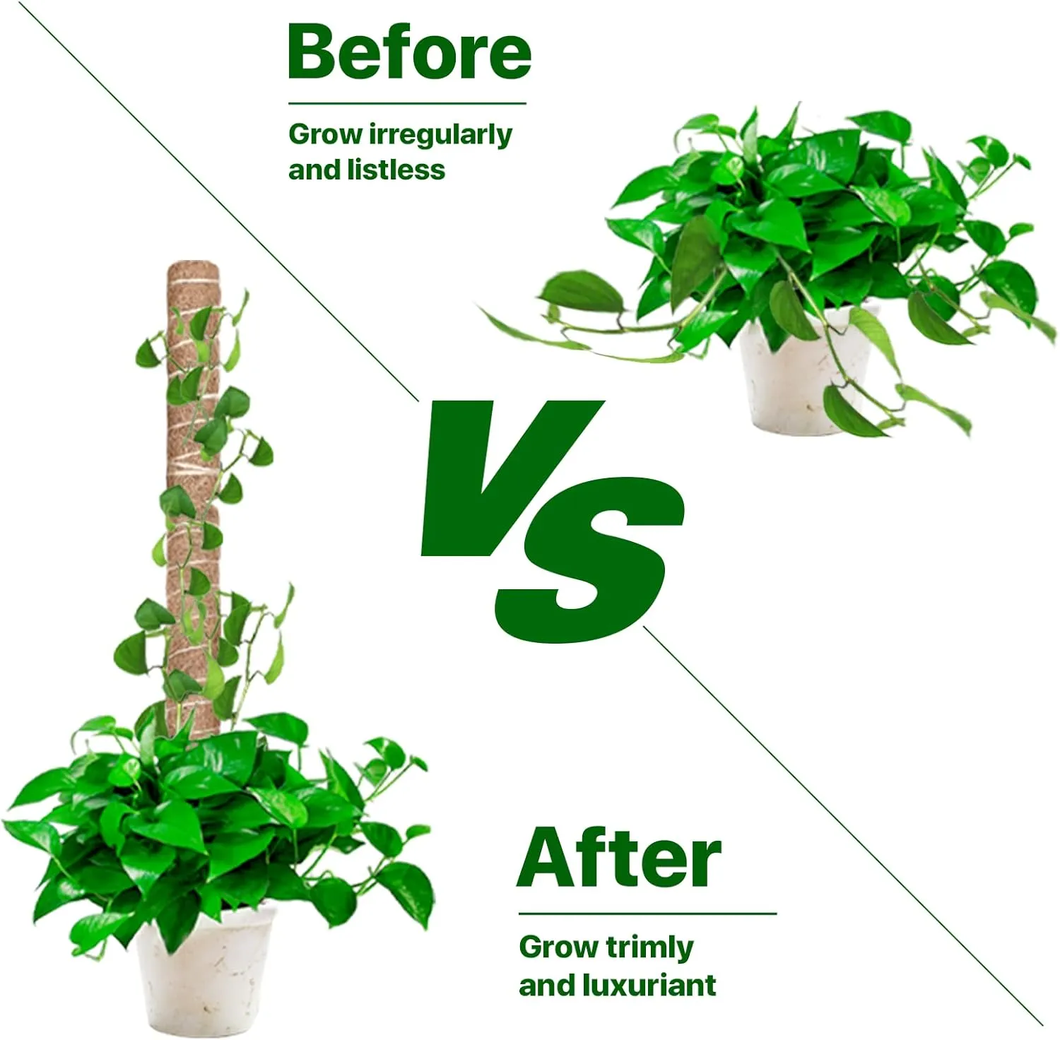 Moss Pole for Plants Monstera 164 Inch, 8 Pcs 20.5 Inch Moss Poles for Climbing Plants, Coco Coir Pole Plant Support Stakes for Indoor Climbing Plants Grow Upwards, with Garden Ties Kit