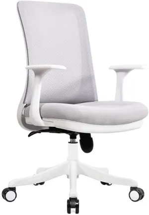 Office Chair, Computer Desk Chair Ergonomic Five-Claw High-Density Breathable Mesh 360° Rotating Office (Color : A) TDFF (C)