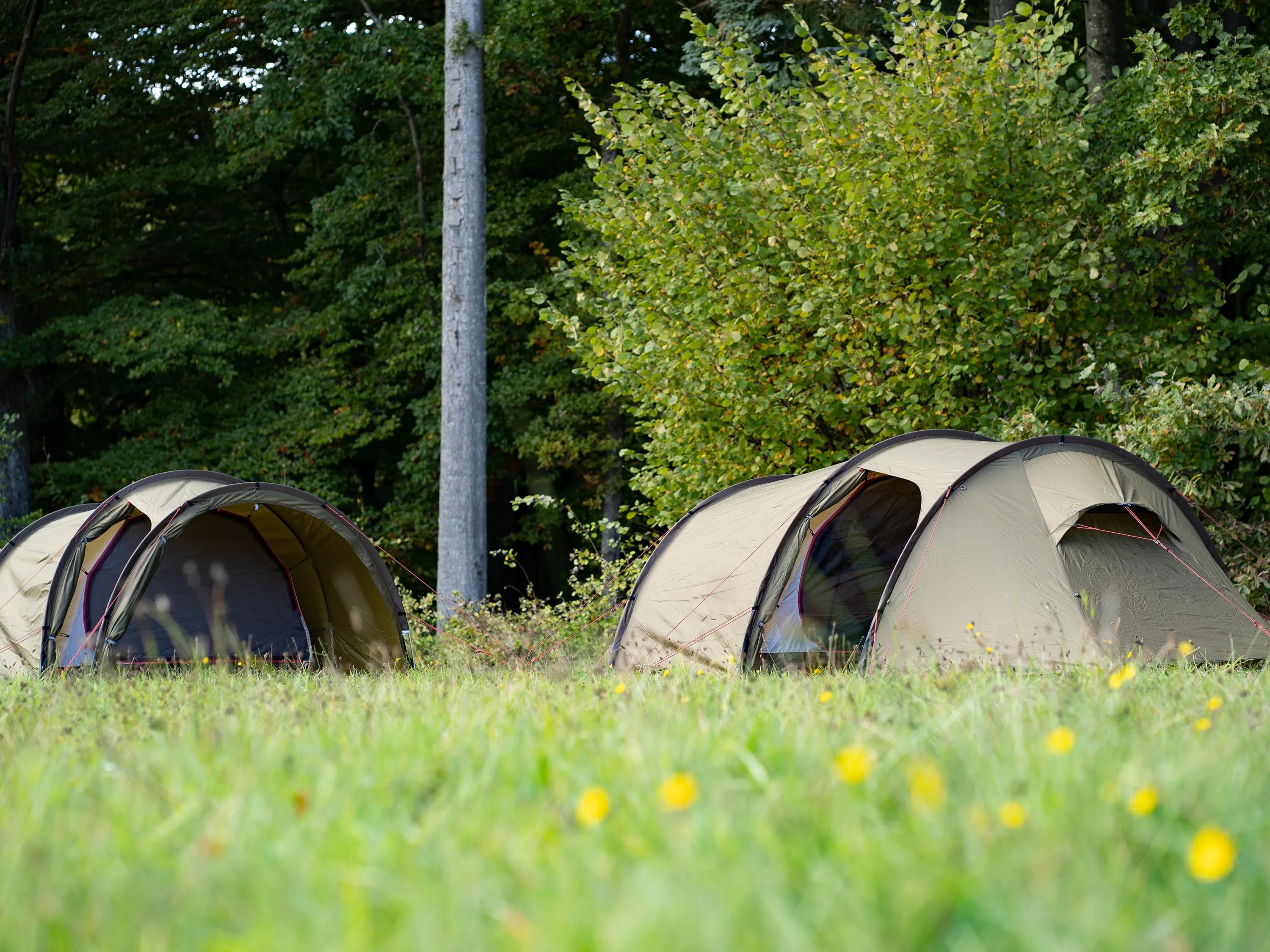 Oppland 3 PU (3.0) Tent - 3 person | Dark Olive