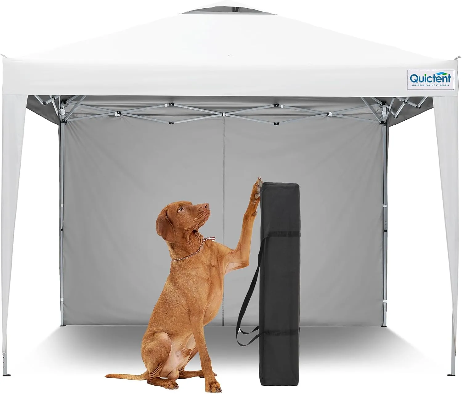 Quictent 10x10 Pop Up Canopy Tent with 1 Sidewall, Instant Setup Gazebo for 1 Person, Portable & Compact, Waterproof & UV Protection, Ideal for Camping, Beach, Parties, and Outdoor Events
