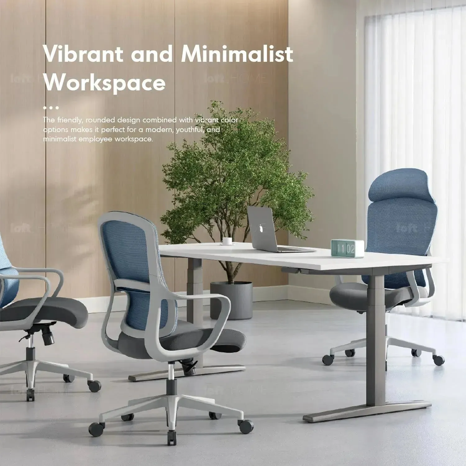 [Ready Stock] Modern Mesh Ergonomic Office Chair CURVE