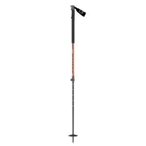 Ski Pole Aluguide