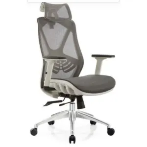 Supple Mesh Executive Ergonomic office Chair