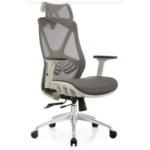 Supple Mesh Executive Ergonomic office Chair