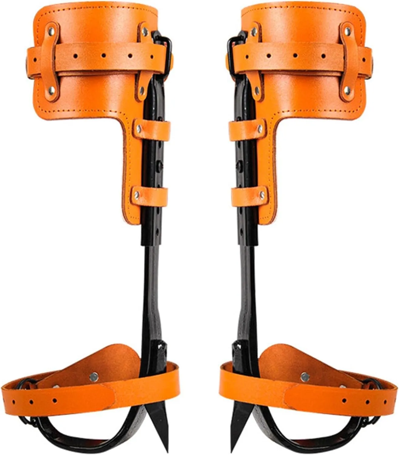 Tree Climbing Spikes, Tree Climbing Tool Crampons, Height Adjustable and with Cowhide Leather Straps, for Climbers, Logging, Hunting Observation, Fruit Picking