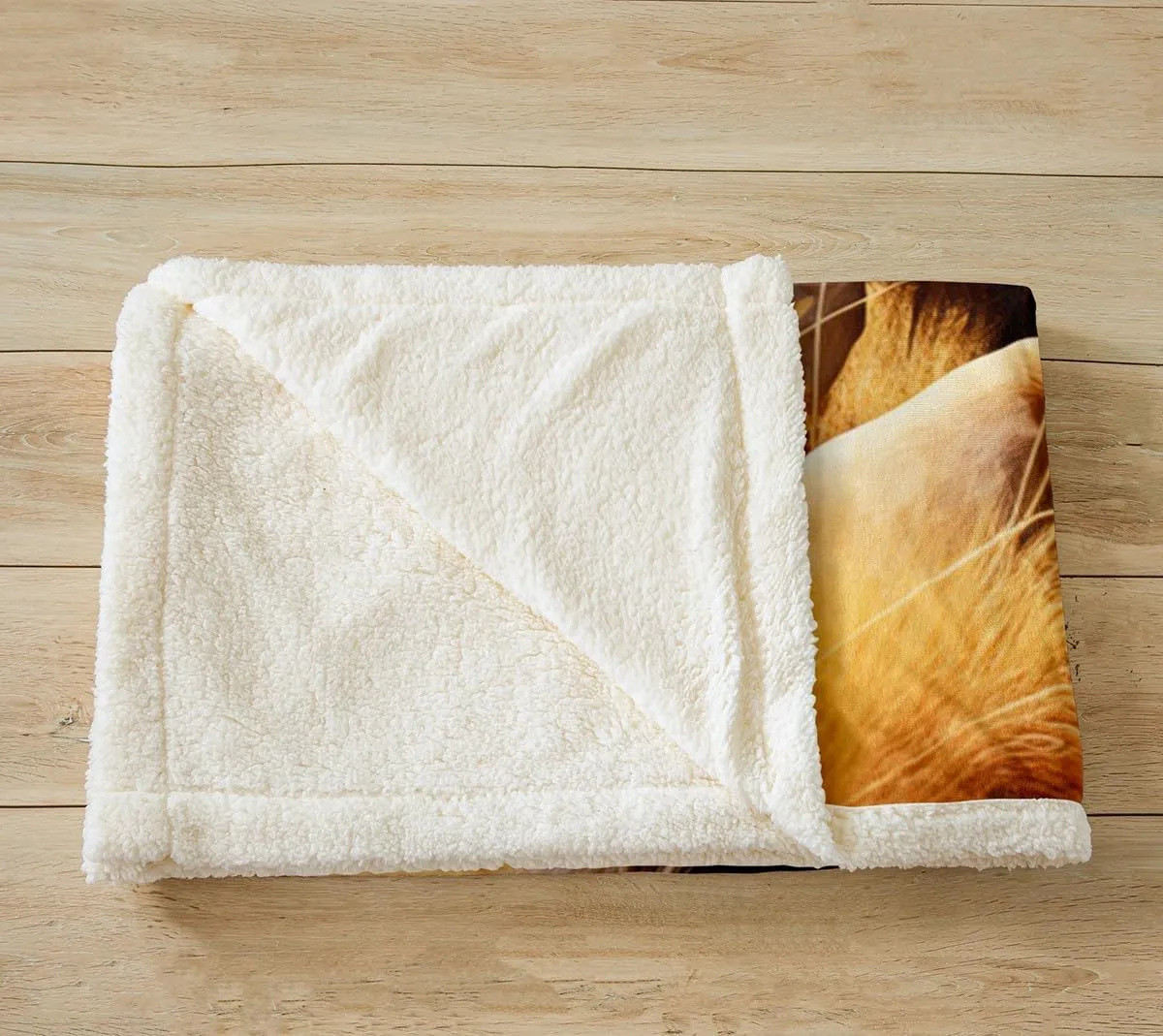 Vivid Lion Throw Blanket,Prairie Scenery Blue Sky Bed Blanket Kids Teens Boys Men Home Room Decor,Fierce Wildlife Fuzzy Blanket,Tropical African Animal Fleece Blanket,for Chair/Sofa,30"×40"