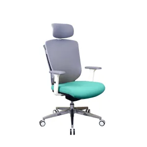 Zenox Ergonomic - Zagen Office Chair (Mesh & Foam/Sky Blue)