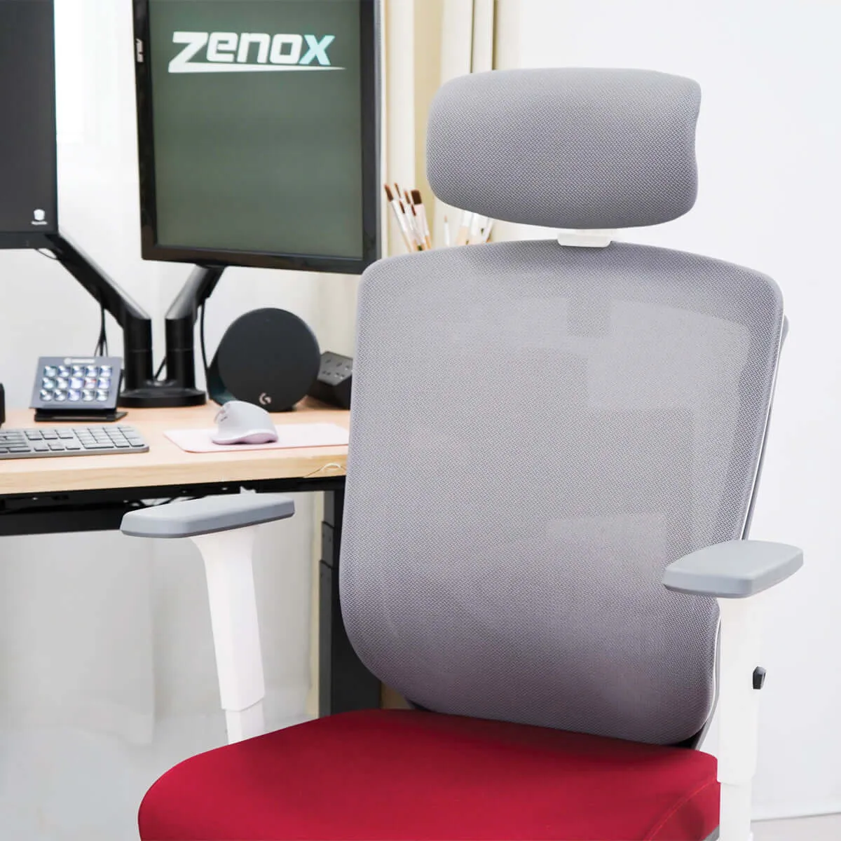 Zenox Ergonomic - Zagen Office Chair (Mesh & Foam/Sky Blue)